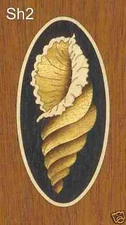 Oval Shell Inlay Marquetry #SH2 4"x2" or 3"x1-1/2", VENEER WOODWORKING REQUIRED