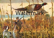 BOB KUHN - Pheasant Hunter with Dog - TEAM WORK - 17 x 22 Print Upland HUNTING