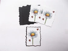 Set #  7   Image with mats  Card Making