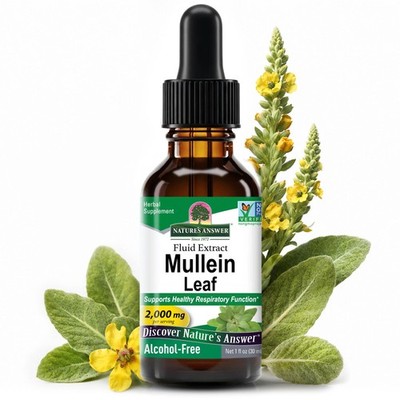 Natures Answer Mullein Leaf 1000 mg, 1 oz - Alcohol Free Herbal Supplement - Sup