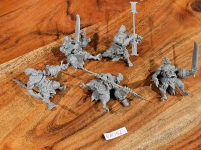 CMON Cool Mini or Not Wrath of Kings House Shael Han Wrath x5 No Bases