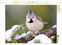 Calvendo Puzzle Haubenmeise 2000 Teile Puzzle Quer | 2000 Teile Lege-GrößE 90X67