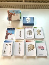 Prometheus Thieme Lernkarten Der Anatomie Med...