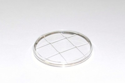 Verre De Montre étanche Quadrillé Doré – Pour Montres Vintage Diamètre 30,9 Mm