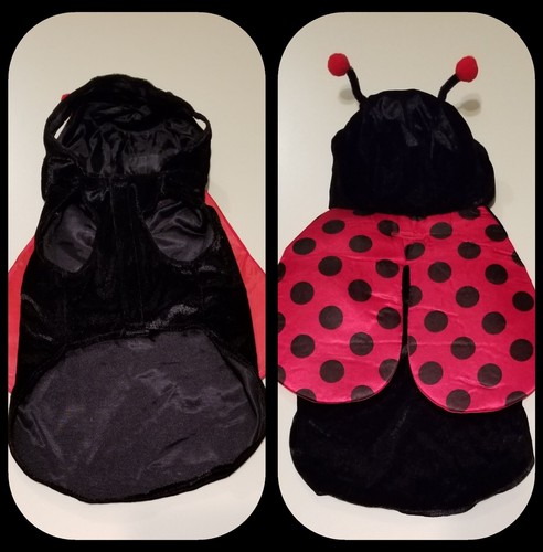 Pet New York Pet Dog Costume Hooded Lady Bug Black Red Sz S