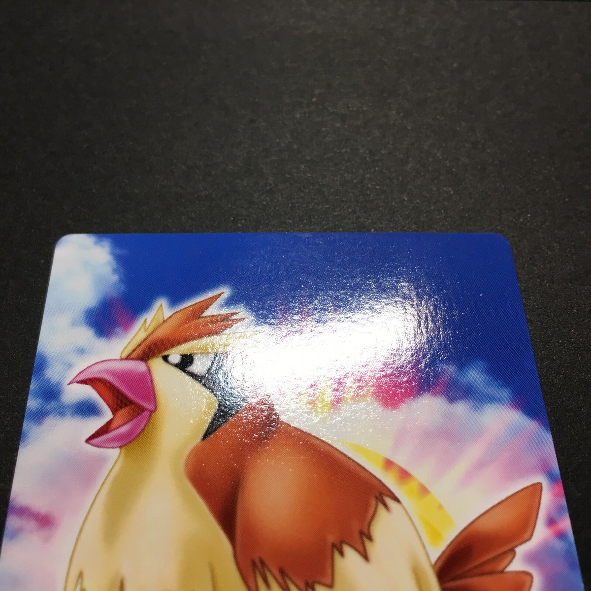 EX-NM Pidgey 036 Pokemon Zukan Card Japanese Rare Nintendo F EX-NM Pidgey 036 Pokemon Zukan Card Japanese Rare Nintendo F