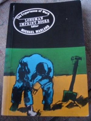 The Experience of Work (Imprint Books)
