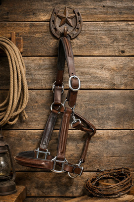 Handmade Horse Halter   Adjustable Leather Halter with Soft Padding- All Size