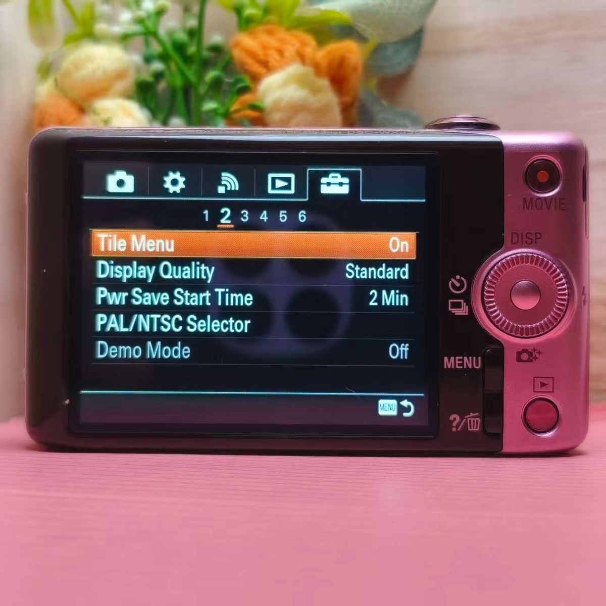 Sony Cyber-Shot DSC-WX220 DigitalCamera 18.2MP 10X Optical Zoom