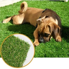Artificial Grass Lawn Turf 5 FT x 8 FT(40 Square FT) 0.8inch Realistic Synthe...