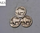 1913+1913-D+1913-S Buffalo Nickel Set/Lot ~ Type 1 ~ ZBL27