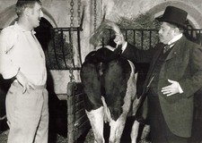 PRESSEFOTO FERNSEHEN FILM DIE GRÜNE STUTE