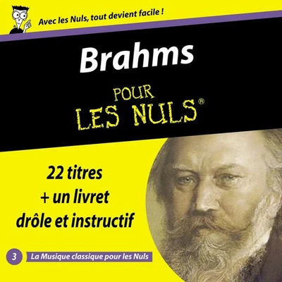 Johannes Brahms Brahms Pour Les Nuls (CD) (US IMPORT) - image 1 of 4