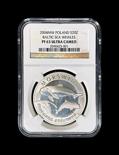 POLAND. 2004, 20 Zlotych, Silver - NGC PF63 - Baltic Sea Whales - Picture 2 of 7