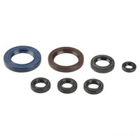 Dichsatz Motordichtringe Motor Dichtung FüR KTM EXC 525 Racing Bj. 2003-2007