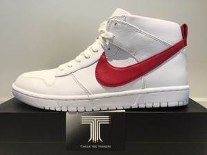 nike dunk riccardo tisci