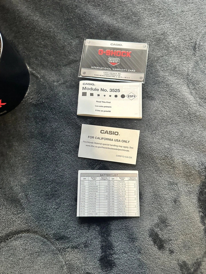 Reloj Daft Club X Pleasures X G-Shock 5600 Edición Limitada 250 Piezas Daft Punk Foto 3 de 4