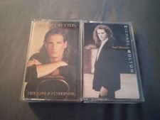 Michael Bolton 2 Cassette Lot: Soul Provider and Time, Love and Tenderness