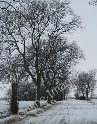 Foto 6x4 White Green Lane North End \/TF0499 Blick nach Westen Richtung Norden E c2010