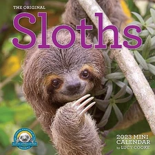 Original Sloths Mini Wall Calendar ..., Workman Calenda