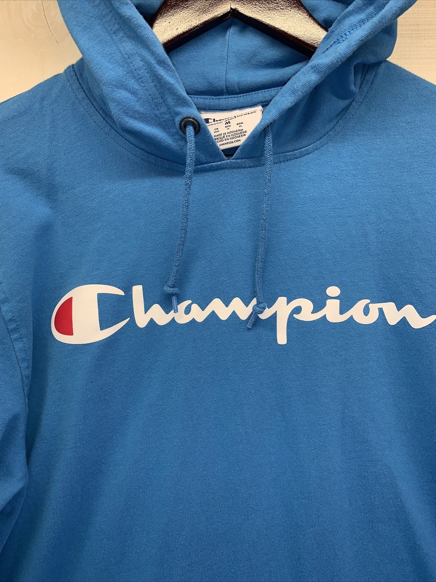 Champion Brand Men's SZ M Blue Hoodie Long Sleeve Shirt-4463 | eBay