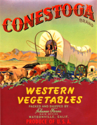 Original CONESTOGA Wagon Watsonville Pioneer WESTERN VEGETABLE Label NOT A COPY