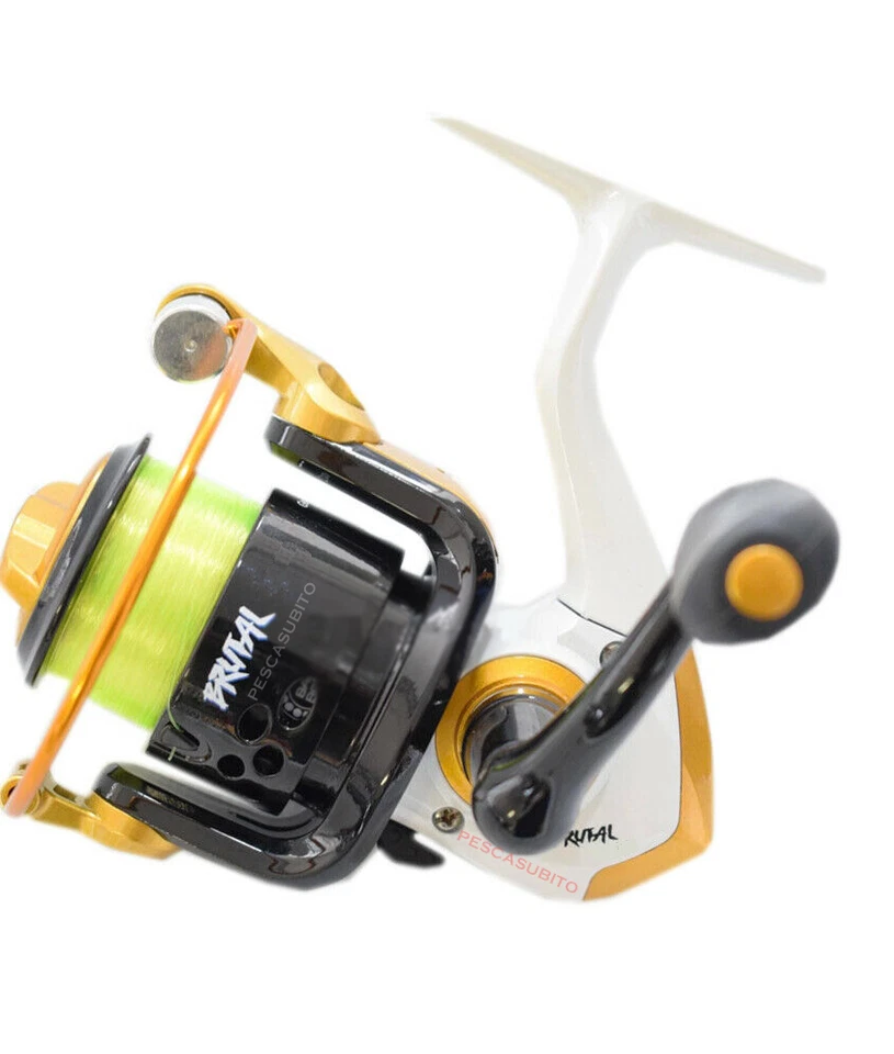 Combo Bolognese Canna 6Mt Mulinello Filo Pesca Trota Carpa Orata Mare Lago Fiume - Immagine 2 di 4