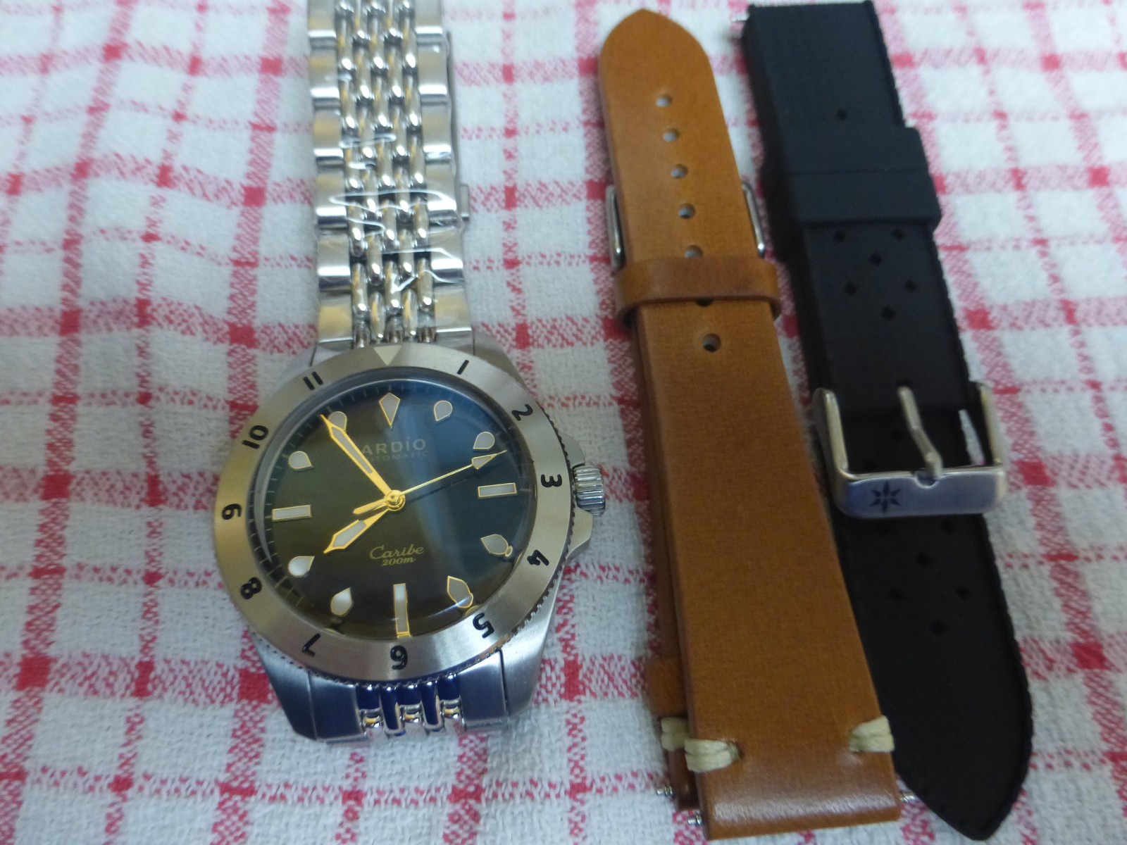 Ardio Caribe microbrand automatic dive watch - image 1