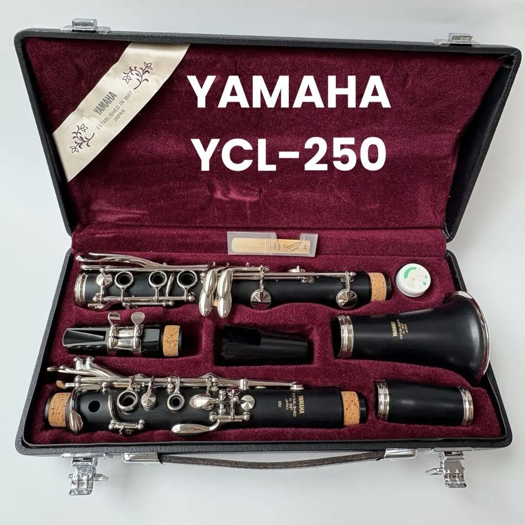 YAMAHA Ycl-250 Clarinet Set With Lead | eBay