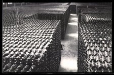 San Sadurni de Noya, Casa Codorniu, Botellas envejeciendo, cartolina 