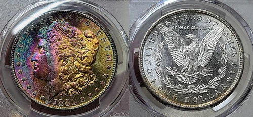 1880 S Morgan Silver Dollar $1 PCGS MS 66 Monster Toning!!