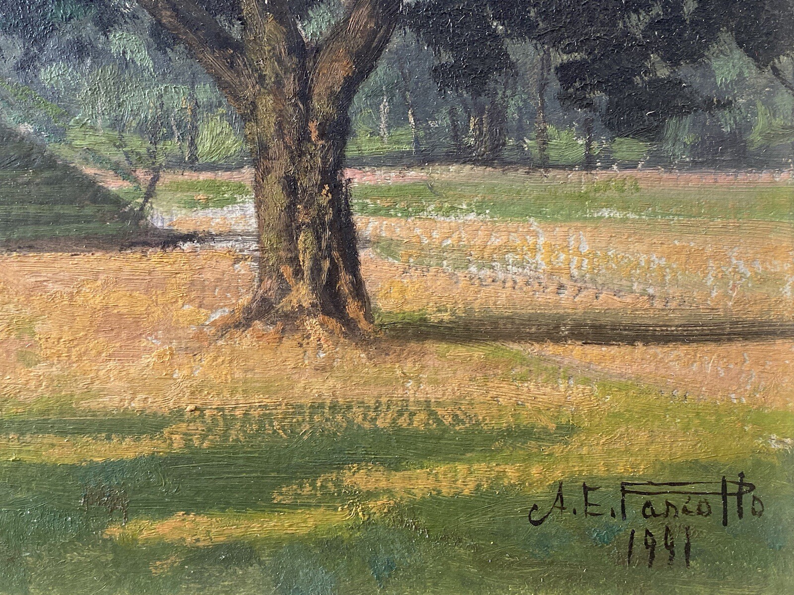 Picture 19 of 24