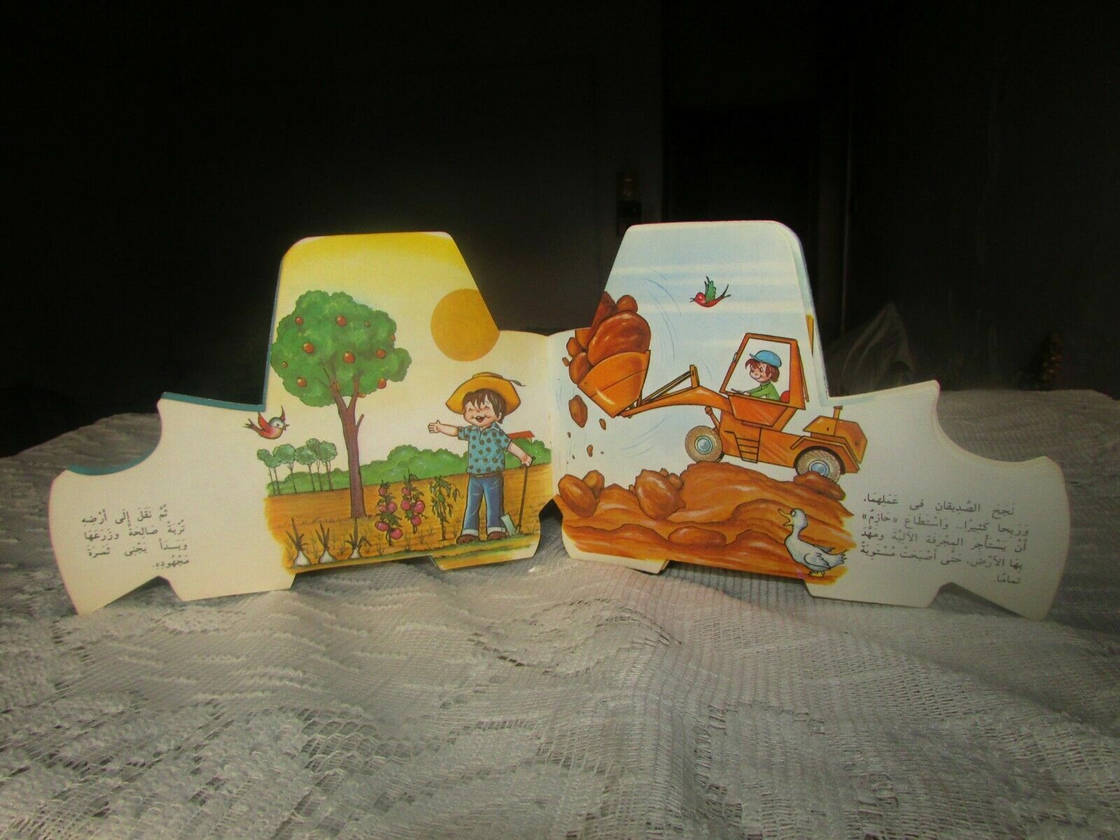 Picture 4
