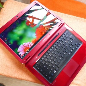 Sony Vaio CS31 ROT 14 Zoll HD l Windows 10 TEST l Display Pixelfehler l AKKU NEU