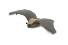 Bat Toy, Hand Painted, Rubber Bat, Realistic ...