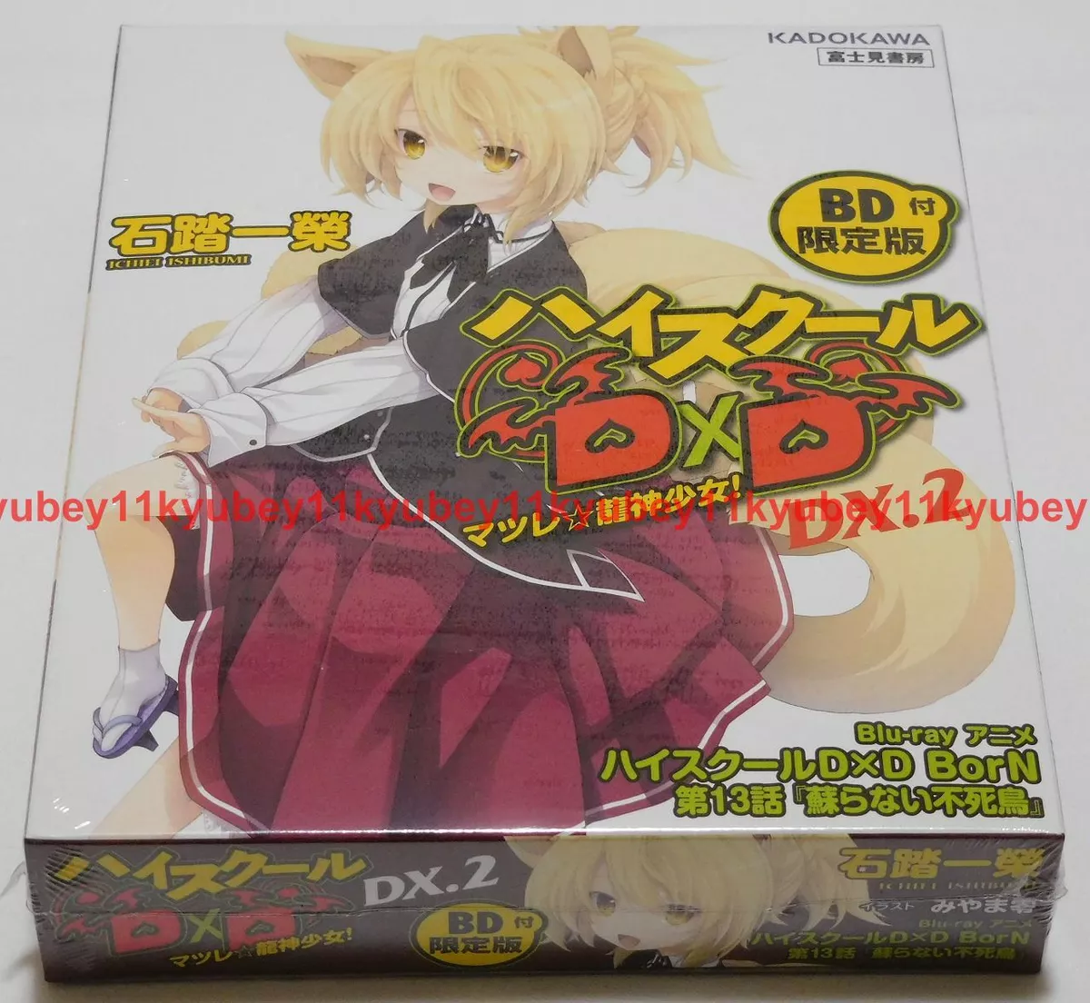 High School DxD DX  Light Novel 