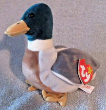 Ty Beanie Baby Jake the Drake DOB April 16, 1997 MWMT Free Shipping