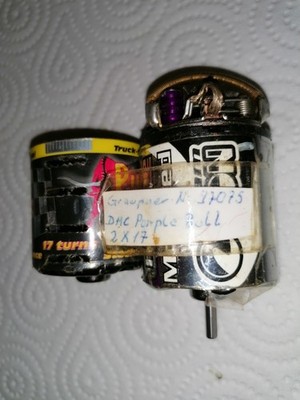Rc Team Orion & Purple Bull Ancker 2x17