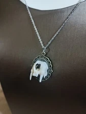 Necklace with real raven's skull and real fox vertebrae bone, jewelry, #12