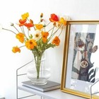Bild 11 von 33