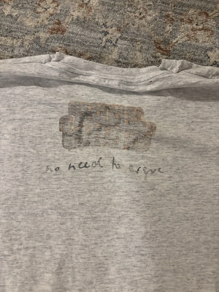 Camisa Cranberries Tour 1995 vintage Foto 4 de 4