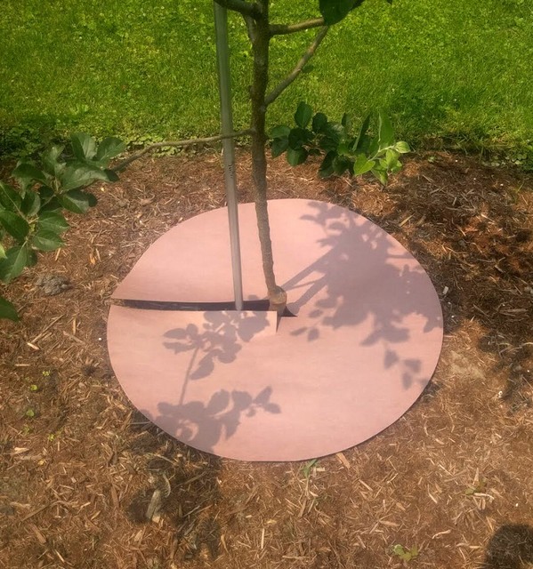 WeedGuardPlus Organic Weed Barrier, Circle or Square, 10 pcs, No