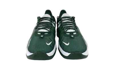 Nike PG 5 Green Men display picture 1