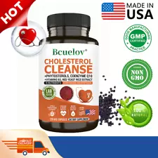 Cholesterol Cleanse - Healthy Heart Blood Vessels Artery Circulation Flow