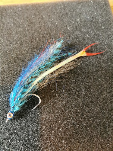 1x Saltwater Competition Gr.1/0 10cm MACKEREL Fliegenköder Neu 2005 Orvis, Salbei, NEU - Bild 3 von 8