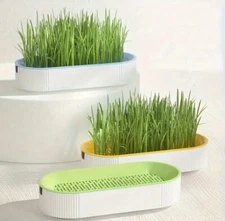 Cat Grass Planting Box Growing Kit Plant Set Hydroponic Soil-Free Cat Snacks 5OZ
