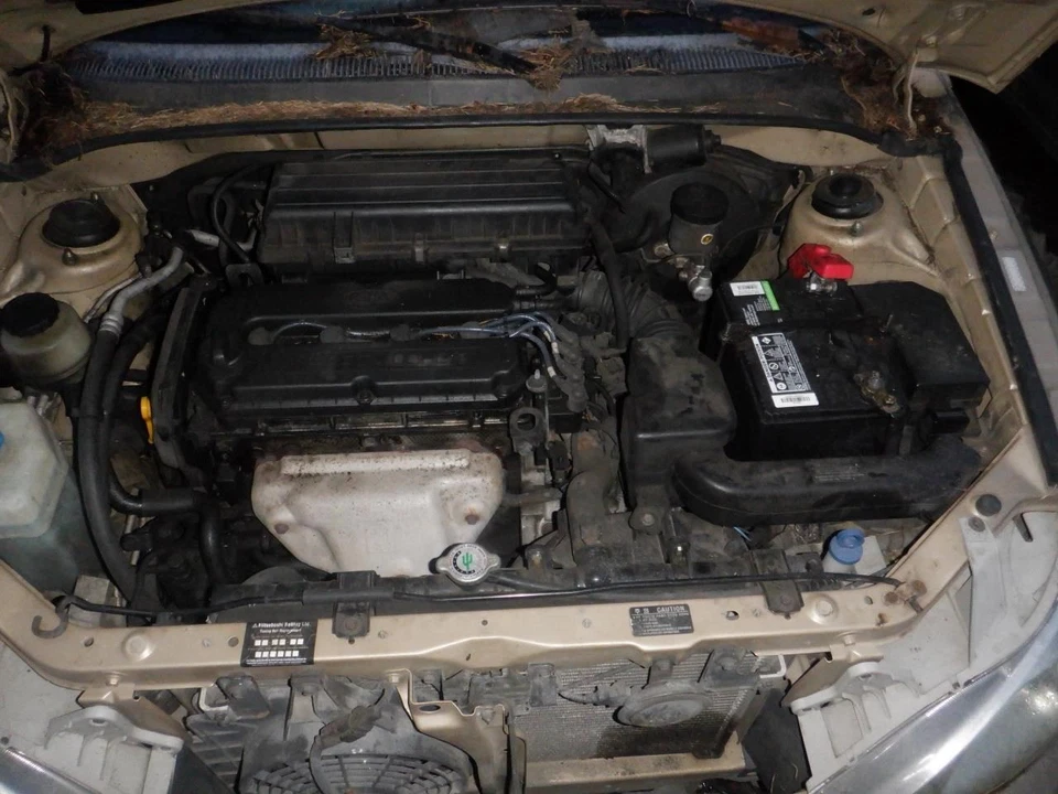 RIO       2002 Door Trim Panel Rear 28999745 Foto 2 de 4