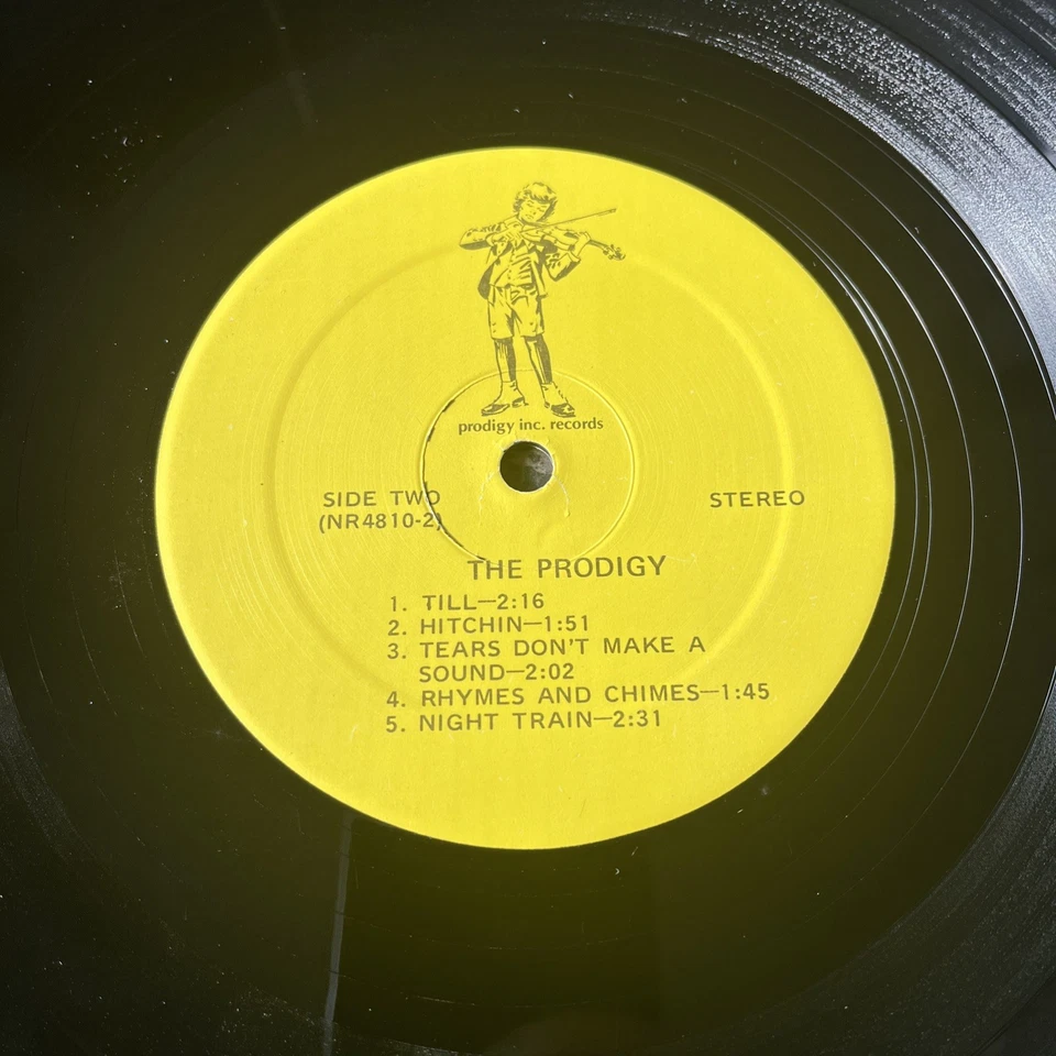 The Prodigy “Climbing The Sky” Vinyl Record LP Vintage/Rare Find! - Image 4 of 4