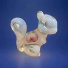 Fenton Hand Painted Glass Squirrel Figurine Opalescent Clear Signed