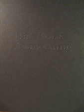 Big Book Awakening Alcoholics Anonymous Big Book Study Guide AA